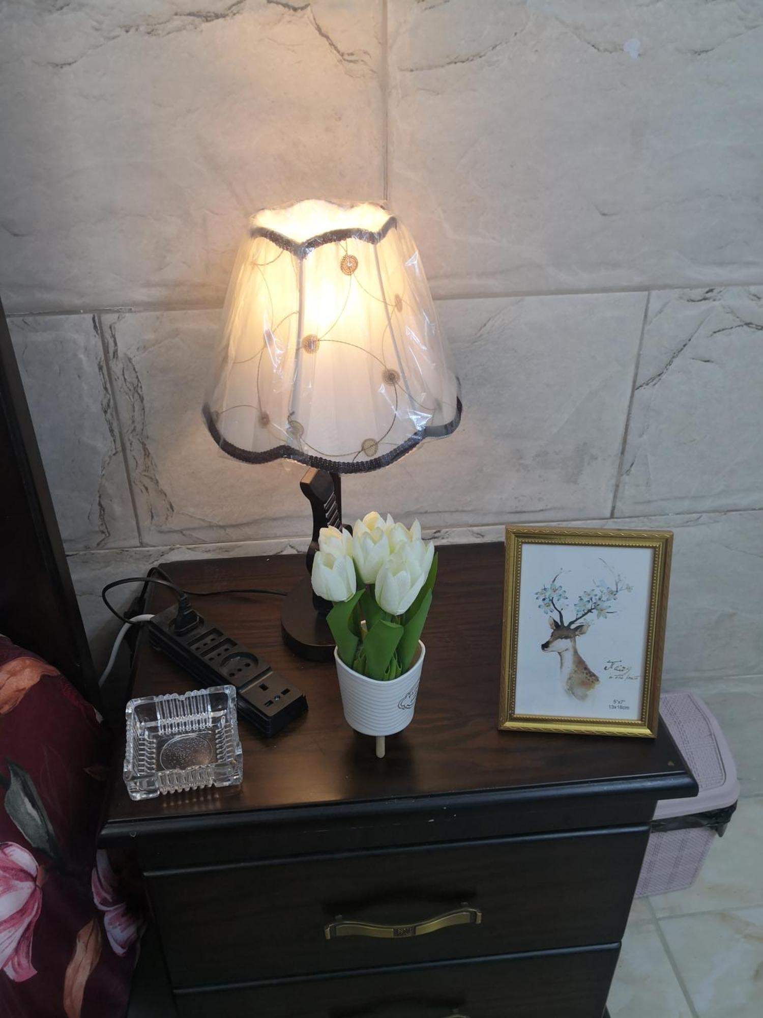 White Tulips Apartment الزنبقة البيضاء جرش المظهر الخارجي الصورة