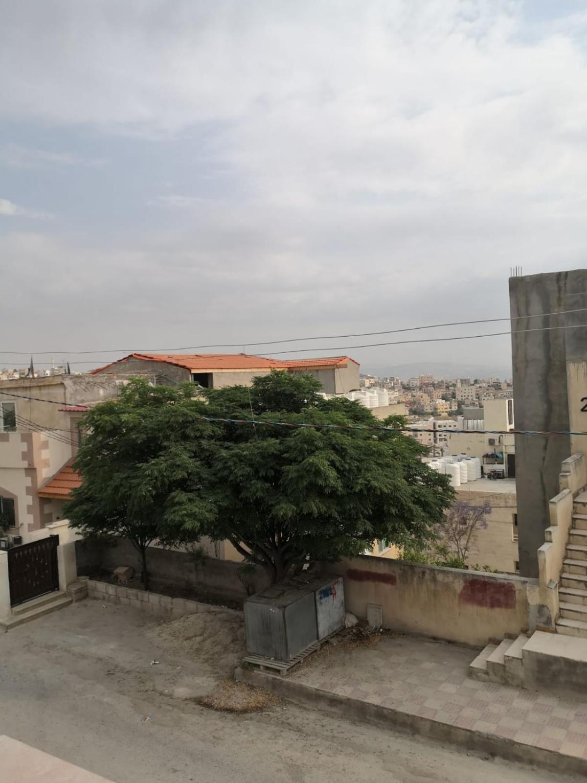 White Tulips Apartment الزنبقة البيضاء جرش المظهر الخارجي الصورة