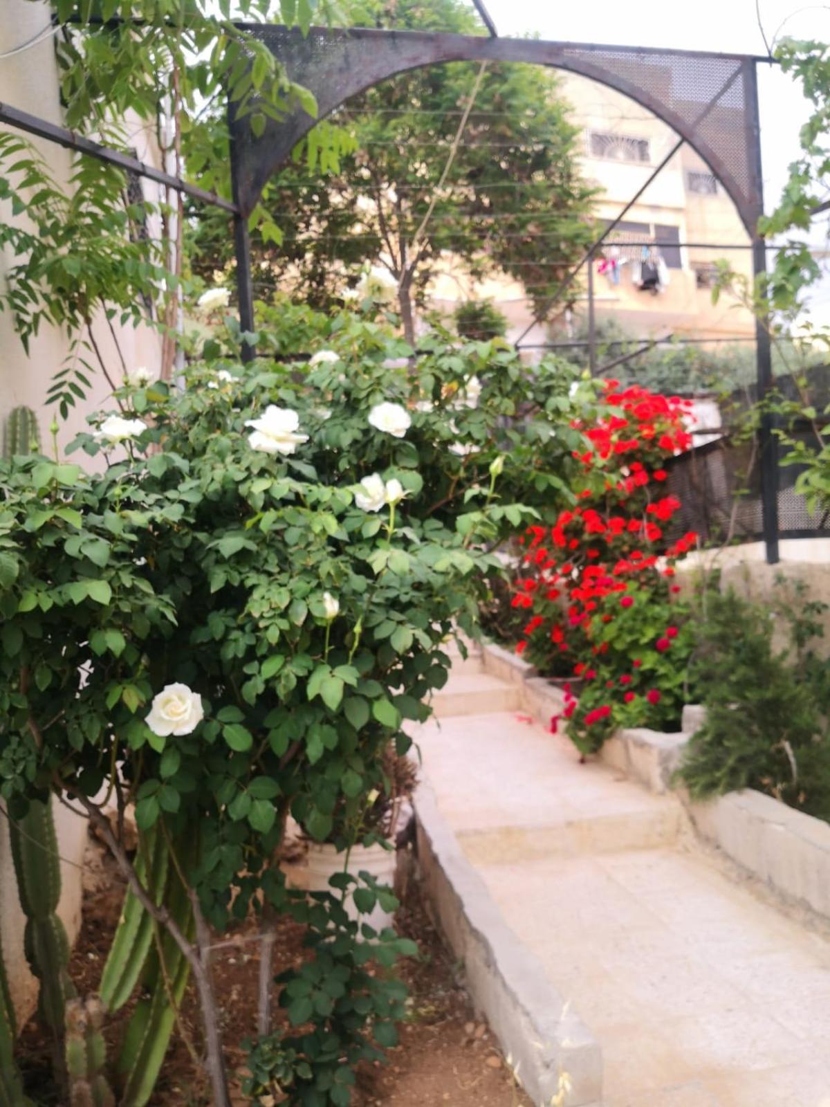 White Tulips Apartment الزنبقة البيضاء جرش المظهر الخارجي الصورة