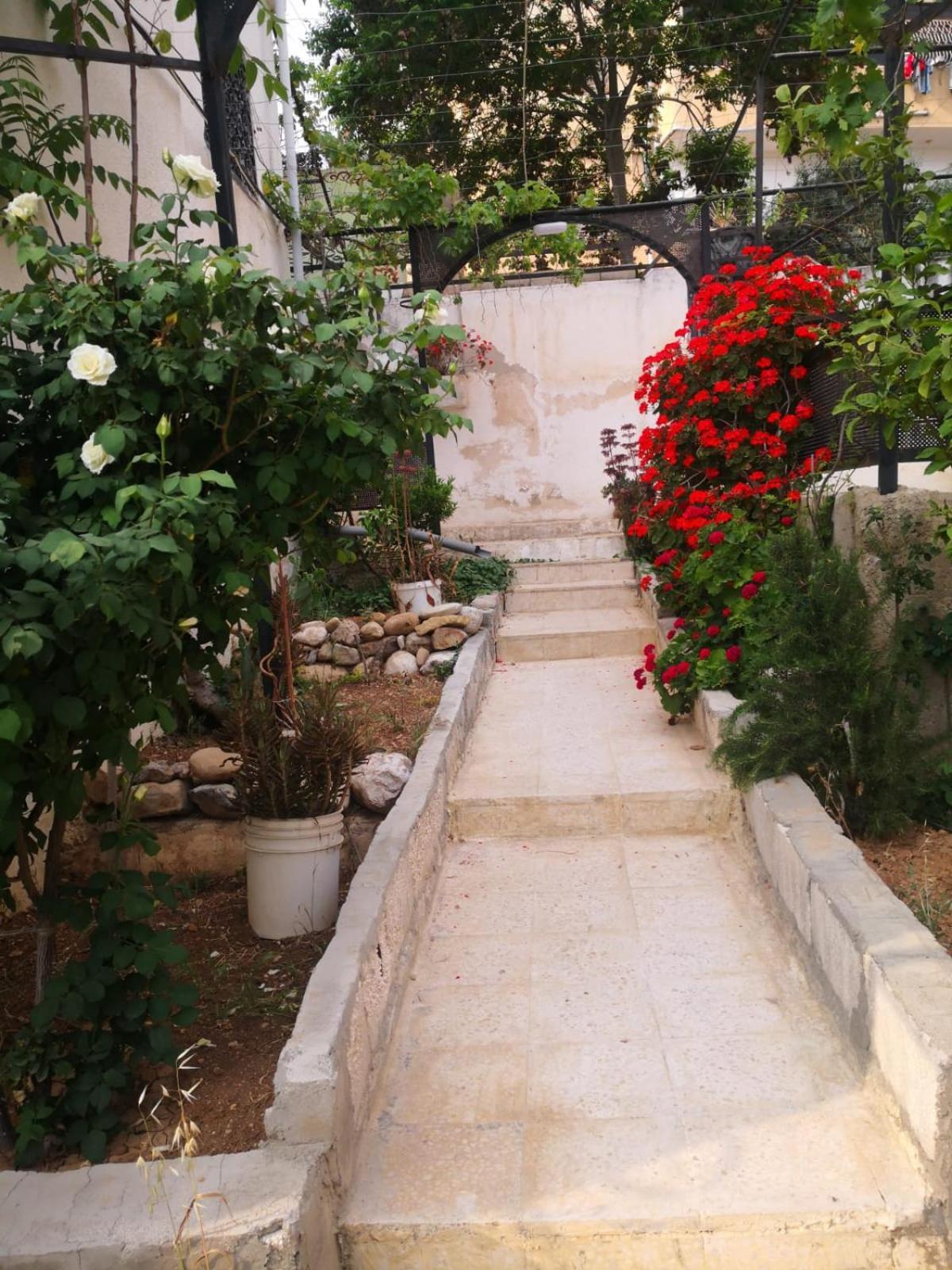White Tulips Apartment الزنبقة البيضاء جرش المظهر الخارجي الصورة